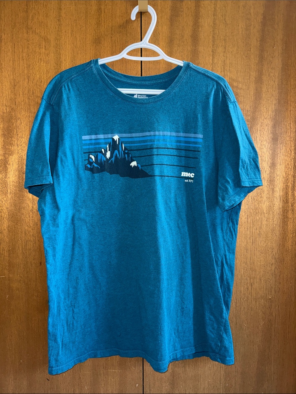 MEC Teal Mountain Graphic Short Sleeve Tee